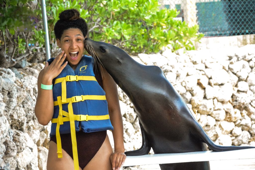 Nassau Bahamas Carnival Cruise Blue Lagoon Excursion